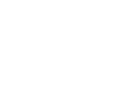 Evolution games at Winnings Max Casino